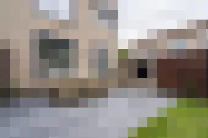 Bomansstraat 10 Weert thumbnail 36