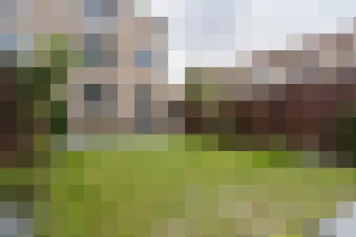 Bomansstraat 10 Weert thumbnail 38