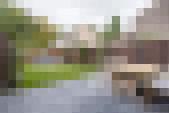 Bomansstraat 10 Weert thumbnail 4