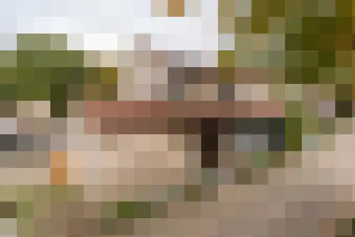 Bomansstraat 10 Weert thumbnail 40