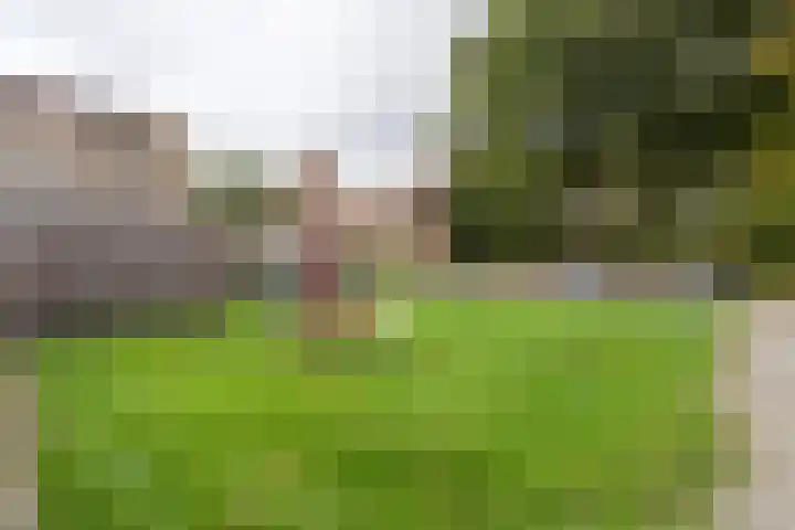 Bomansstraat 10 Weert thumbnail 42