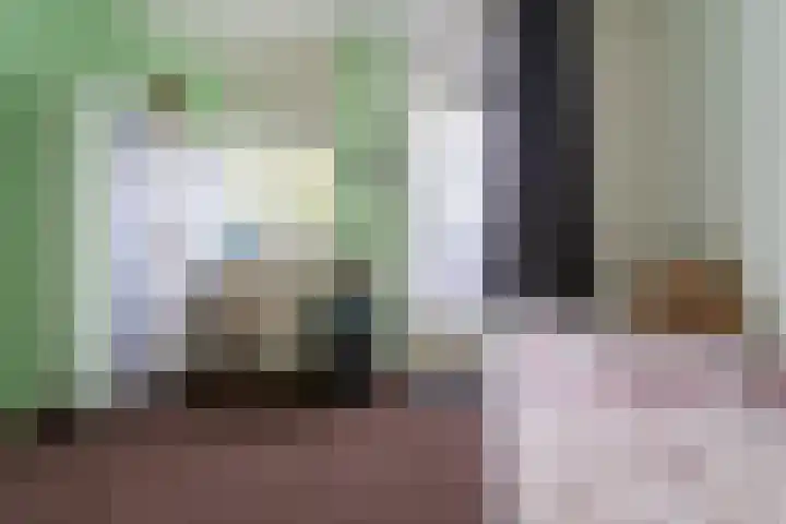 Bomas 12 Veenendaal thumbnail 19