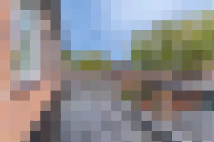 Bomas 12 Veenendaal thumbnail 21