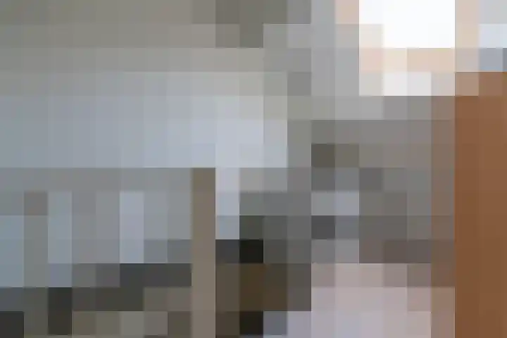 Bomas 12 Veenendaal thumbnail 29