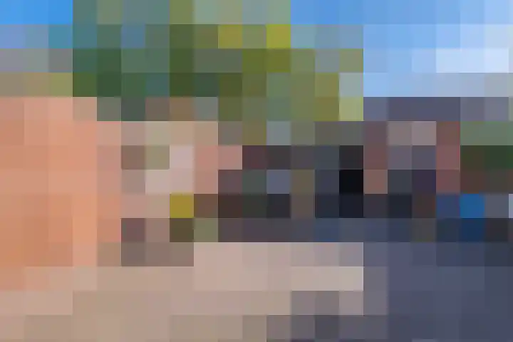 Bomas 12 Veenendaal thumbnail 38