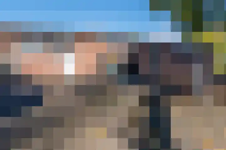 Bomas 12 Veenendaal thumbnail 42