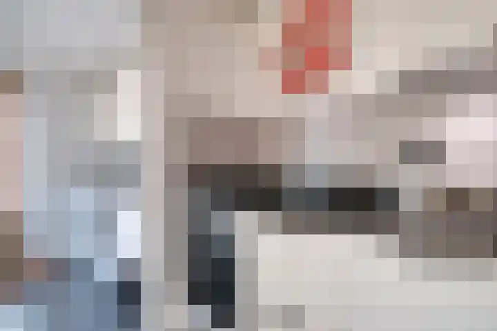 Bomas 20 Veenendaal thumbnail 20
