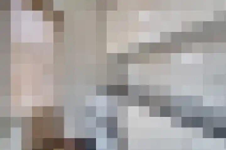 Bomas 20 Veenendaal thumbnail 21