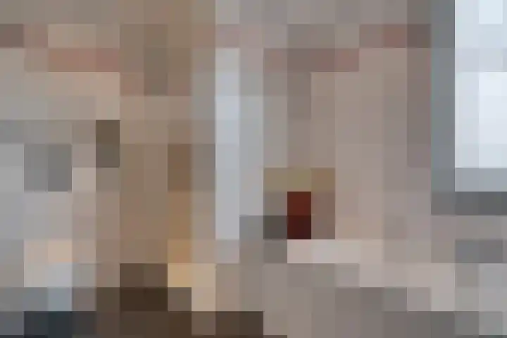 Bomas 20 Veenendaal thumbnail 31