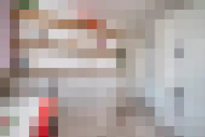 Bomas 20 Veenendaal thumbnail 41