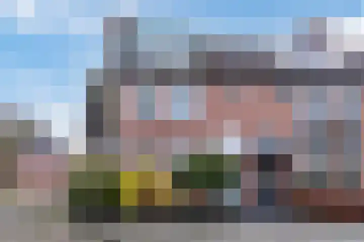 Bomas 20 Veenendaal thumbnail 5