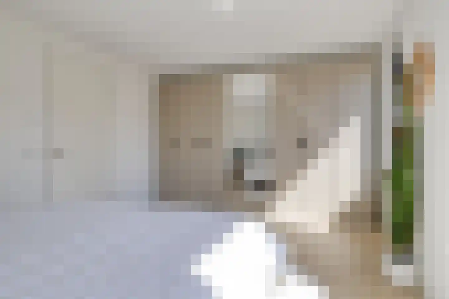 Bomas 25 Veenendaal thumbnail 20