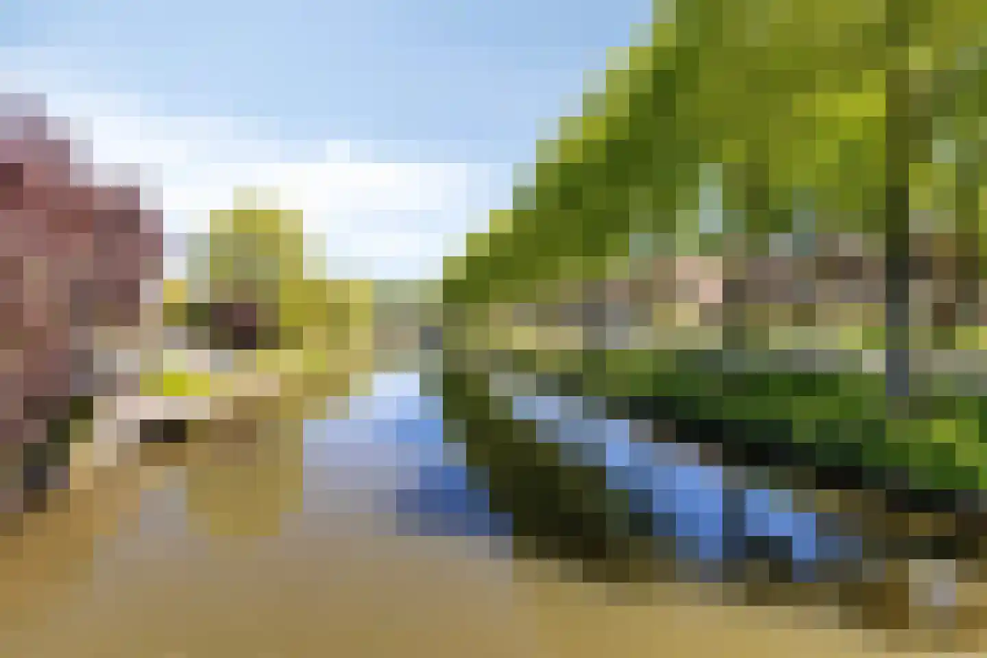 Bomas 25 Veenendaal thumbnail 31