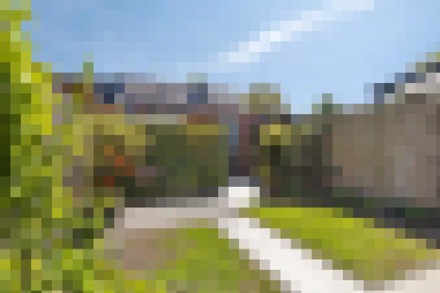 Bomas 25 Veenendaal thumbnail 4