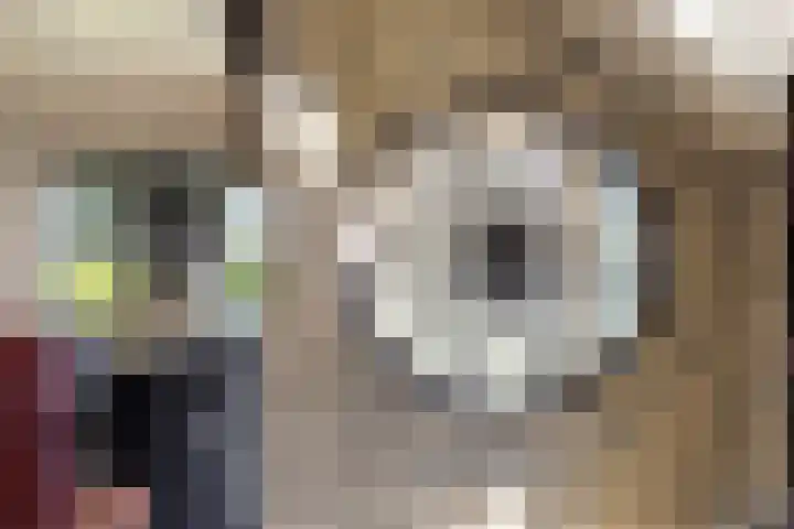 Bombay 6 Doezum thumbnail 12