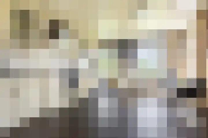 Bombay 6 Doezum thumbnail 13