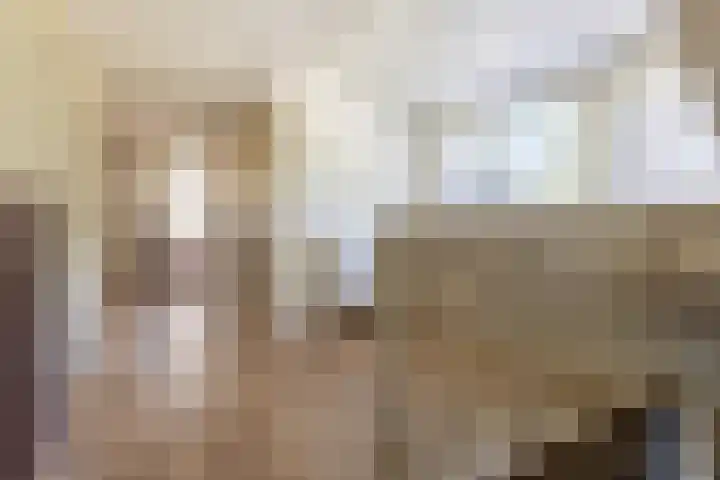 Bombay 6 Doezum thumbnail 23