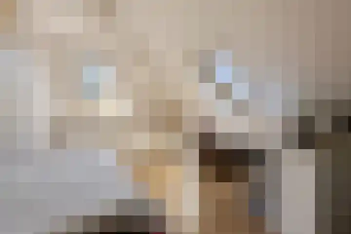 Bombay 6 Doezum thumbnail 25