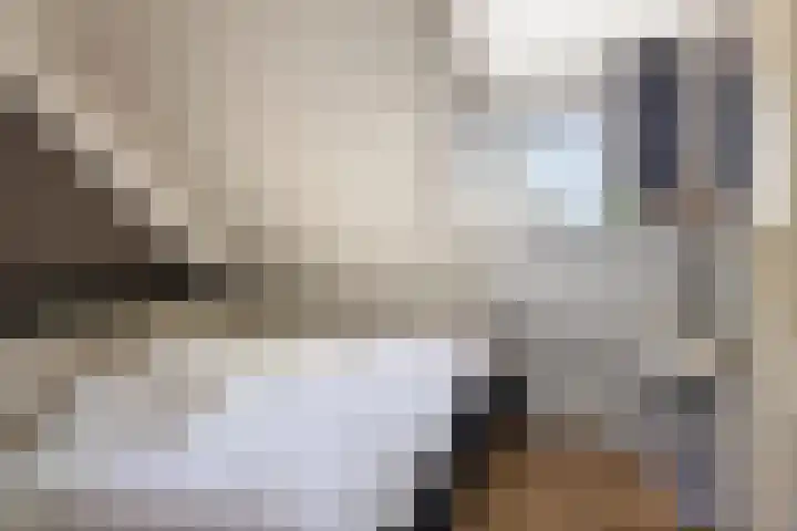 Bombay 6 Doezum thumbnail 27