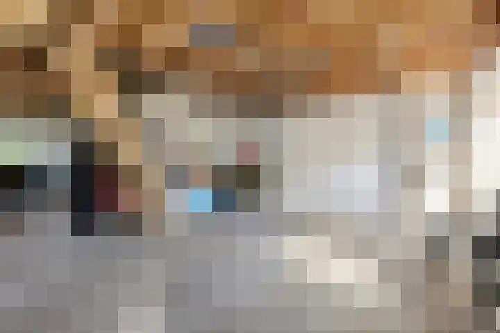 Bombay 6 Doezum thumbnail 31