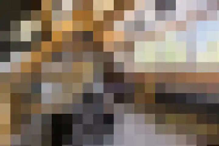 Bombay 6 Doezum thumbnail 33
