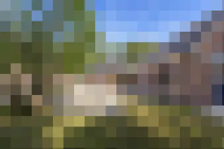 Bombay 6 Doezum thumbnail 38