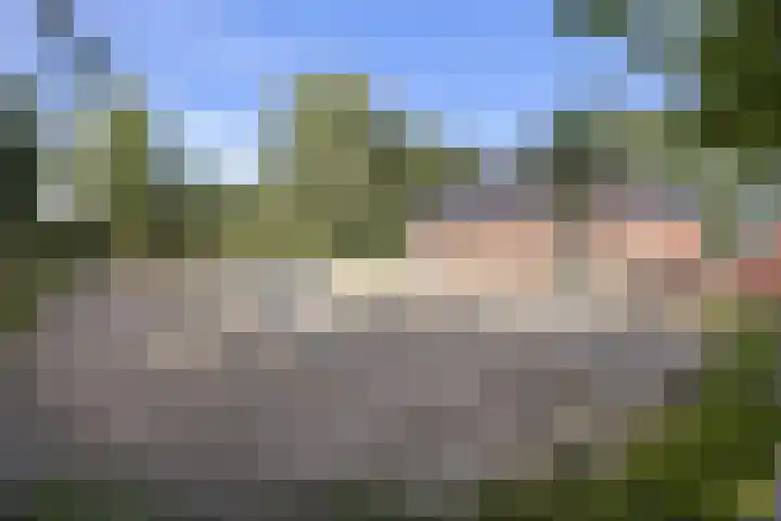Bombay 6 Doezum thumbnail 39