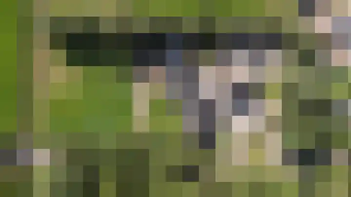 Bombay 6 Doezum thumbnail 4