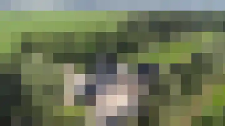 Bombay 6 Doezum thumbnail 41