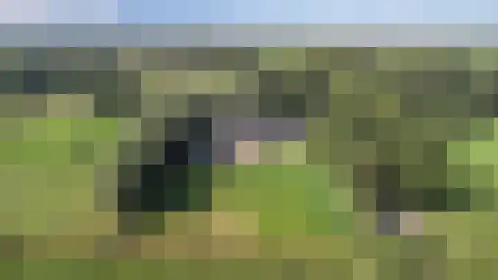 Bombay 6 Doezum thumbnail 42