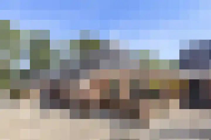 Bombay 6 Doezum thumbnail 44