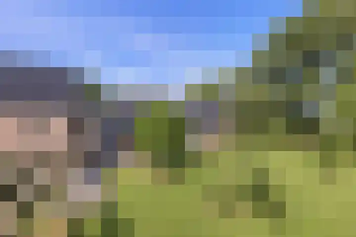 Bombay 6 Doezum thumbnail 46