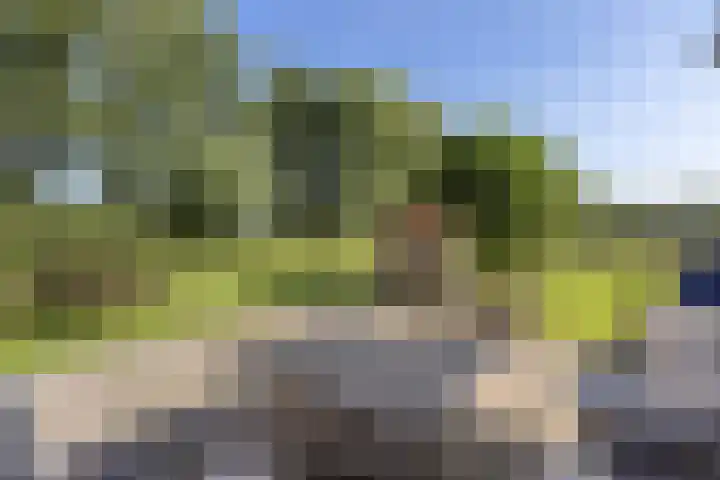Bombay 6 Doezum thumbnail 47