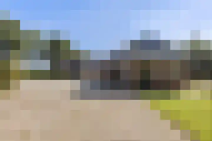 Bombay 6 Doezum thumbnail 48