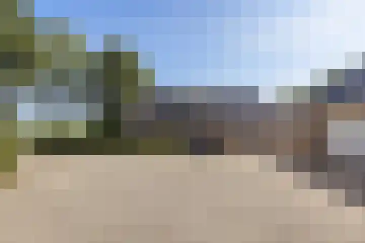 Bombay 6 Doezum thumbnail 49