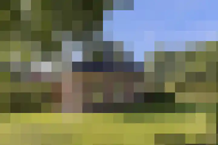 Bombay 6 Doezum thumbnail 51