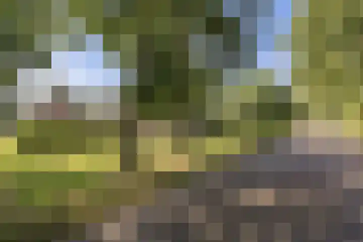 Bombay 6 Doezum thumbnail 53