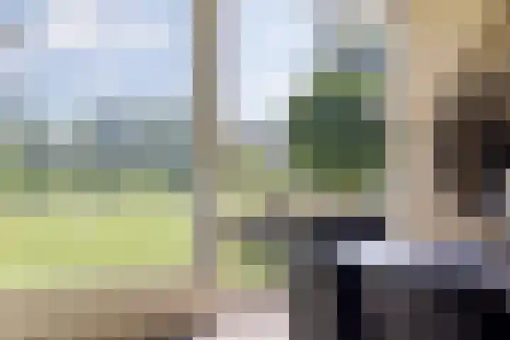 Bombay 6 Doezum thumbnail 6