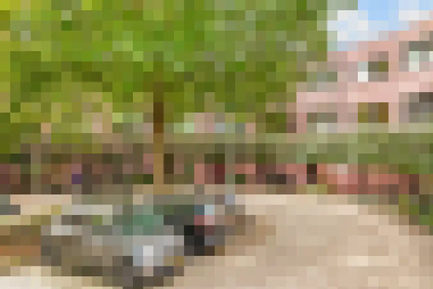 Bombraak 38 Amsterdam thumbnail 42