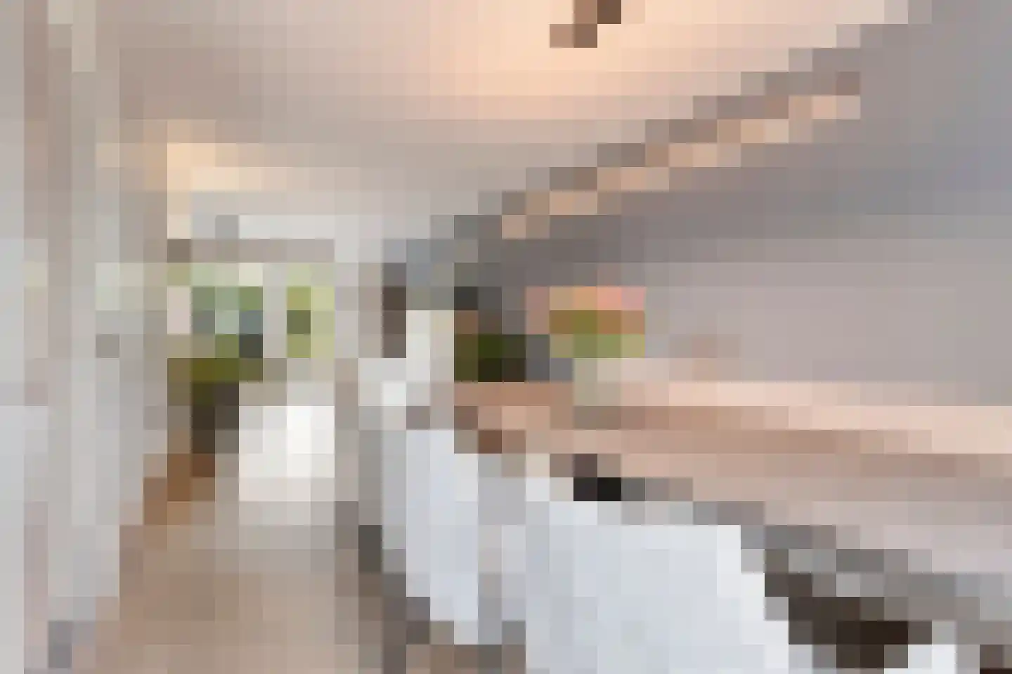 Bombur 20 Geldrop thumbnail 16