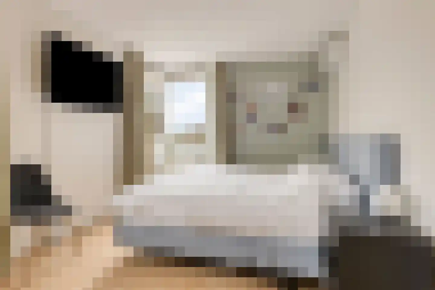 Bombur 20 Geldrop thumbnail 21