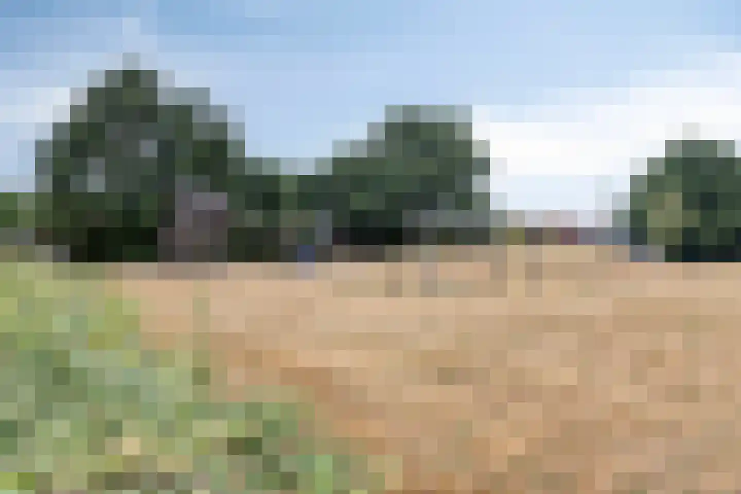 Bombur 20 Geldrop thumbnail 43