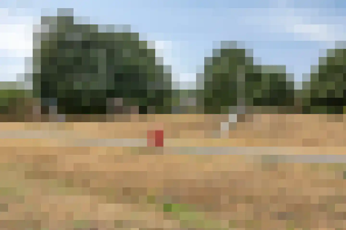 Bombur 20 Geldrop thumbnail 44