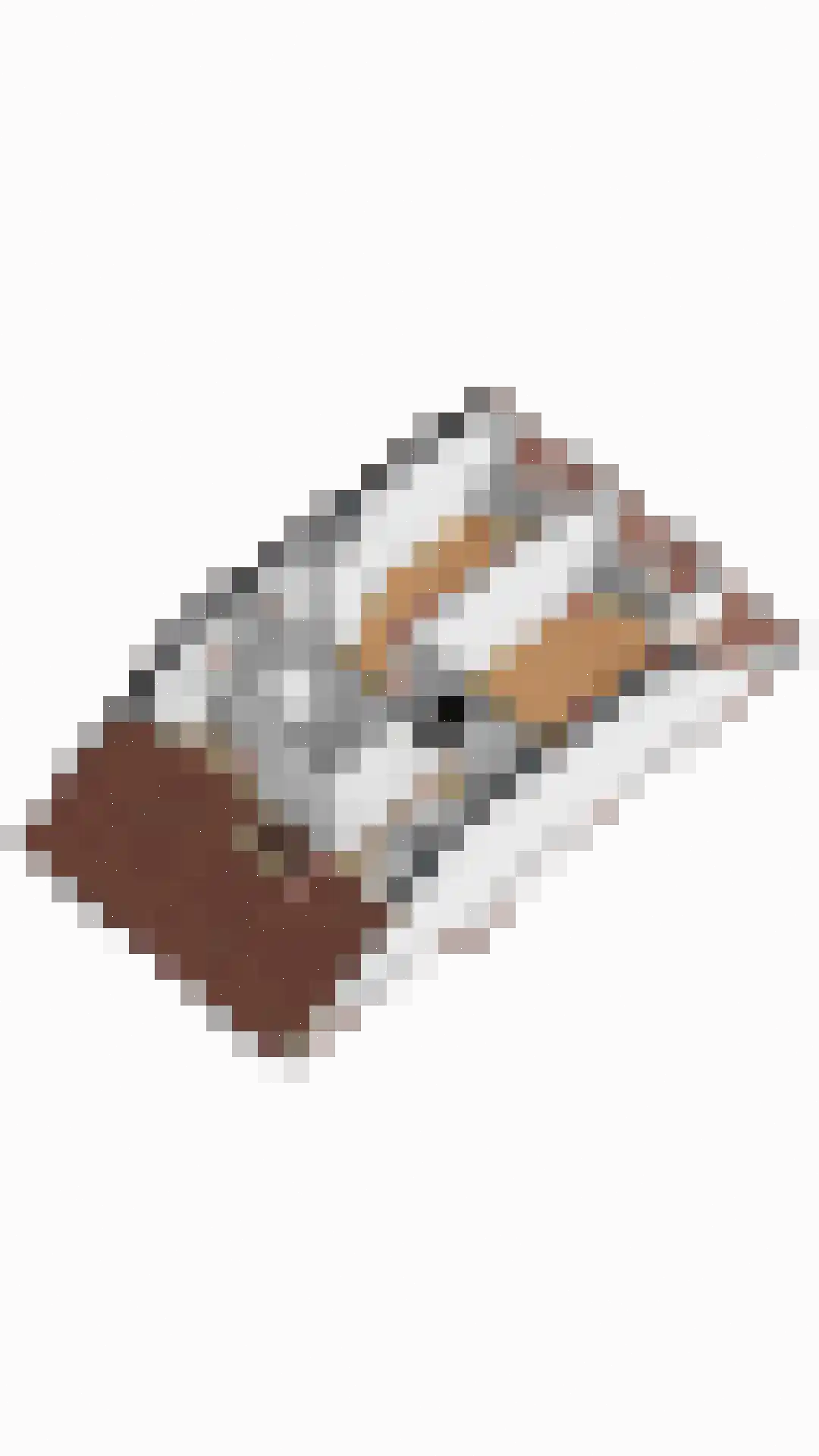 Bombur 20 Geldrop thumbnail 53