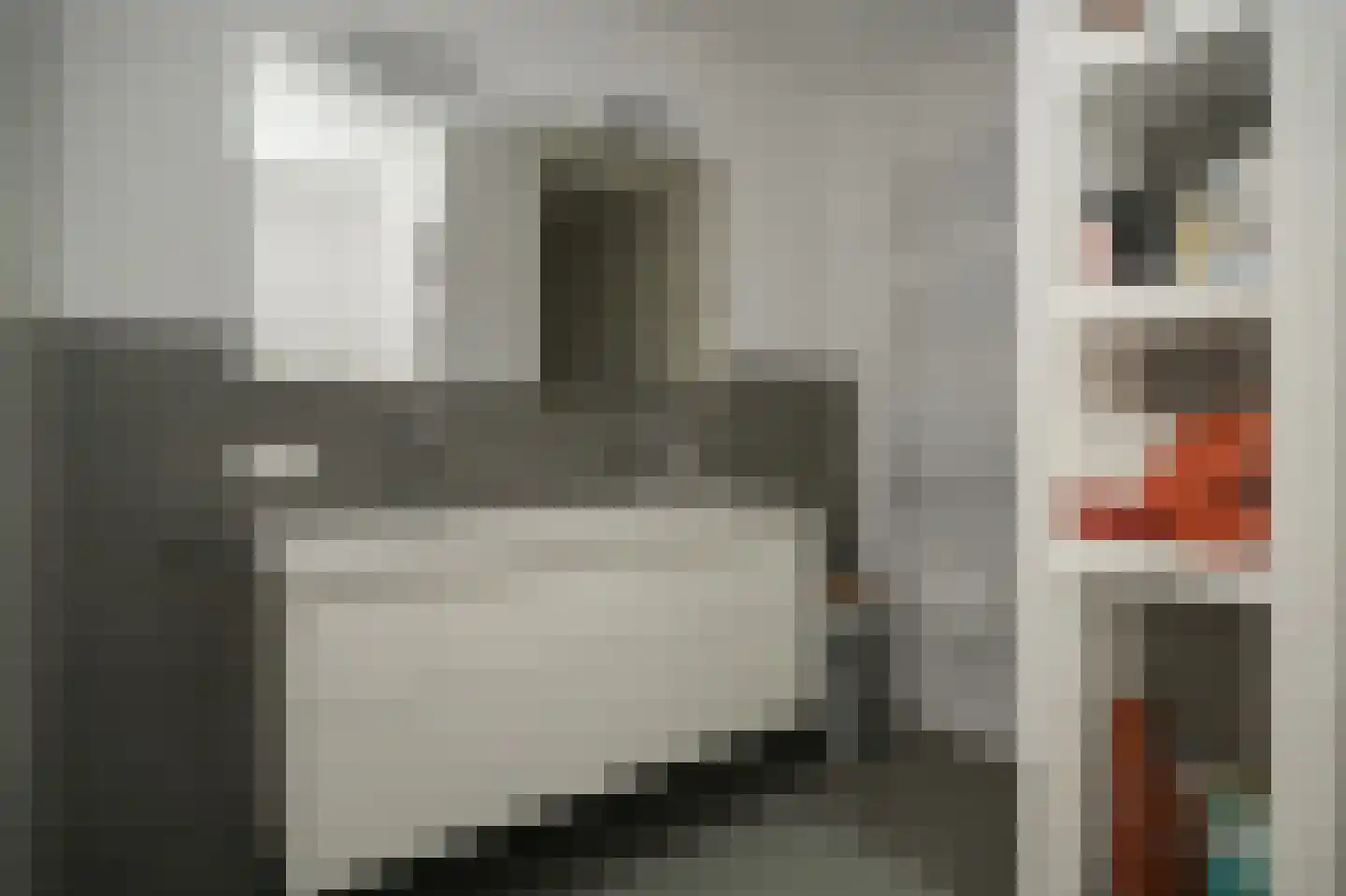Bomela 14 Zaltbommel thumbnail 25