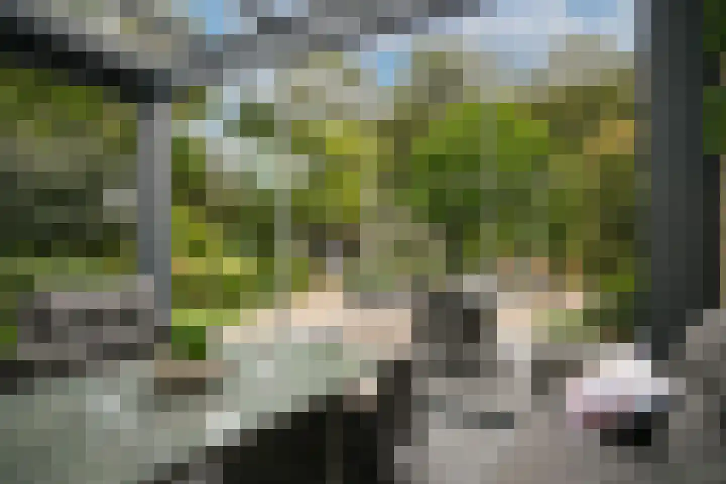 Bomela 14 Zaltbommel thumbnail 40