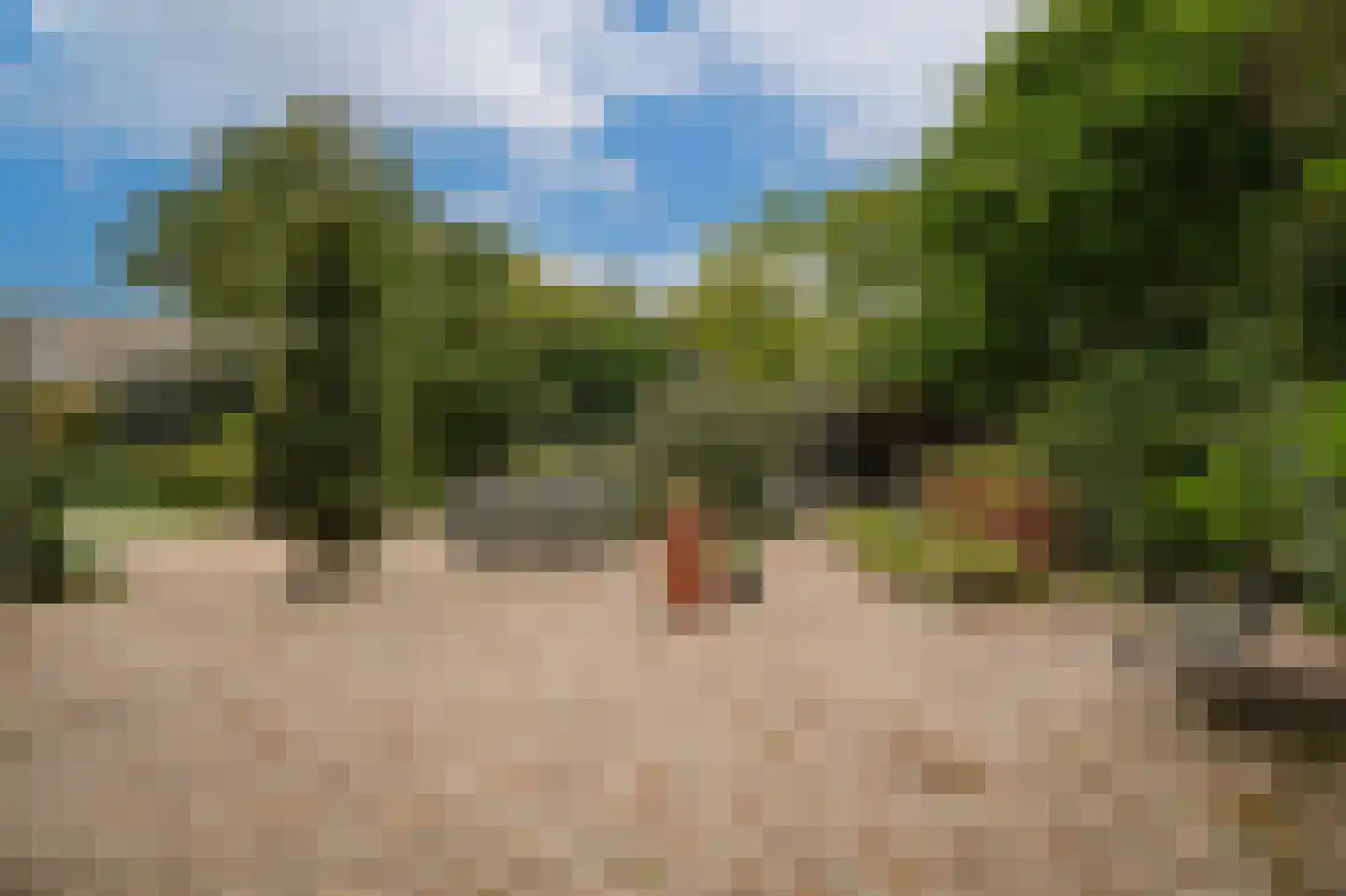 Bomela 14 Zaltbommel thumbnail 45