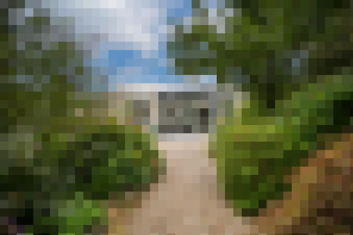 Bomela 14 Zaltbommel thumbnail 47