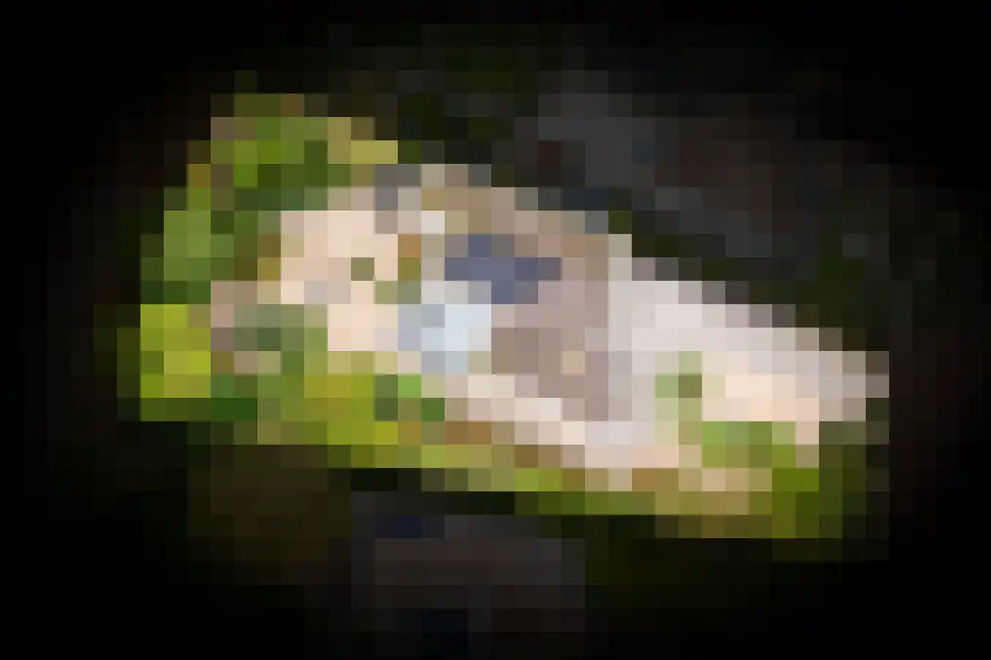 Bomela 14 Zaltbommel thumbnail 5