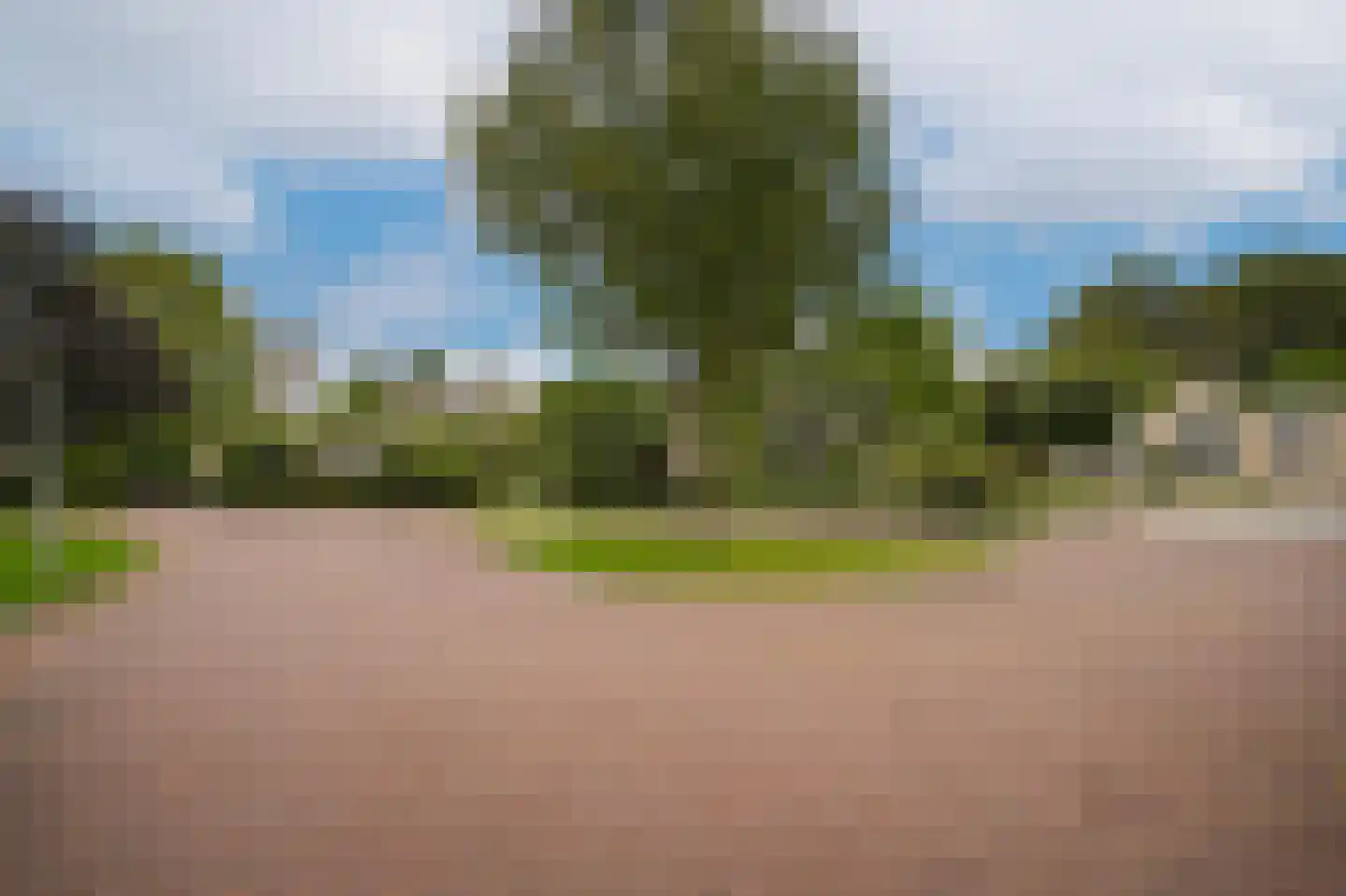 Bomela 14 Zaltbommel thumbnail 55